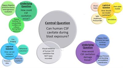 Cerebrospinal Fluid Cavitation as a Mechanism of Blast-Induced Traumatic Brain Injury: A Review of Current Debates, Methods, and Findings